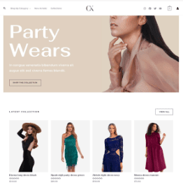 Premium E-commerce Website - Image 3