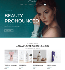 Premium E-commerce Website - Image 2
